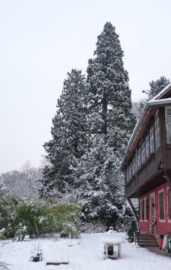 Gite "Cadichon" Munster  Exterior photo