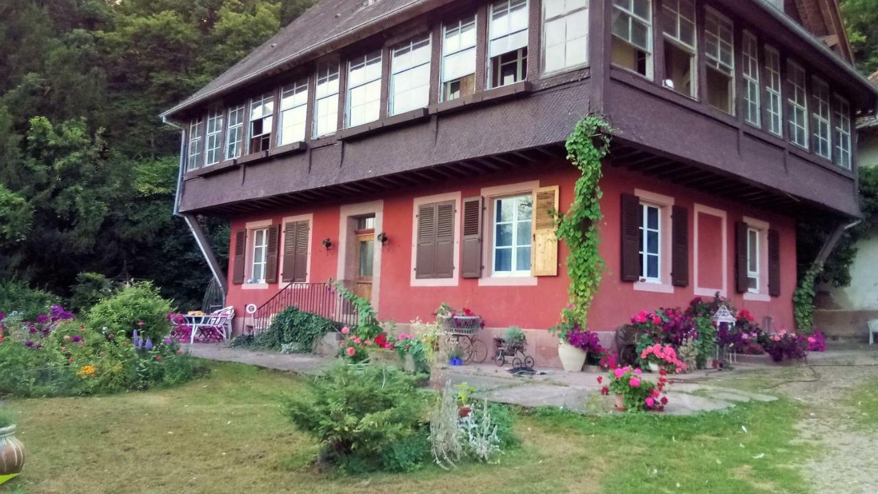 Gite "Cadichon" Munster  Exterior photo